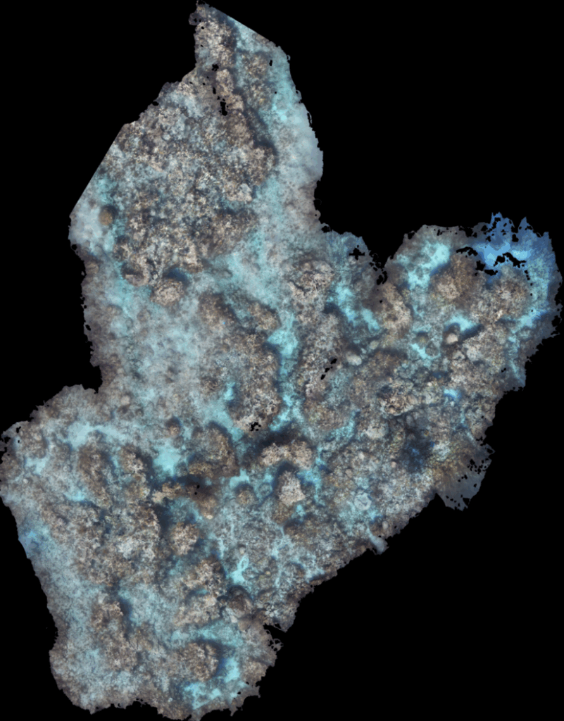Photomosaic map of a reef flat, with patchy coral cover and visible cyan areas representing sand or bare substrate, rendered with photographic clarity.